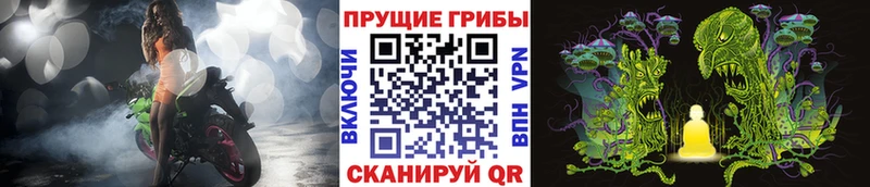 Псилоцибиновые грибы Cubensis Южно-Сухокумск